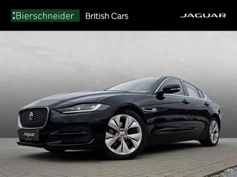 Used JAGUAR XE Diesel 2020 Ad 