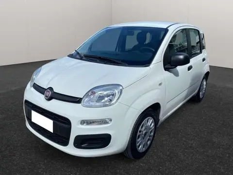 Used FIAT PANDA LPG 2017 Ad 