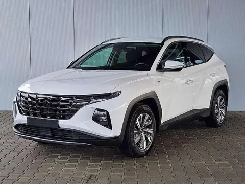 Annonce HYUNDAI TUCSON Hybride 2023 d'occasion 