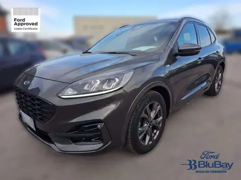 Annonce FORD KUGA Diesel 2021 d'occasion 