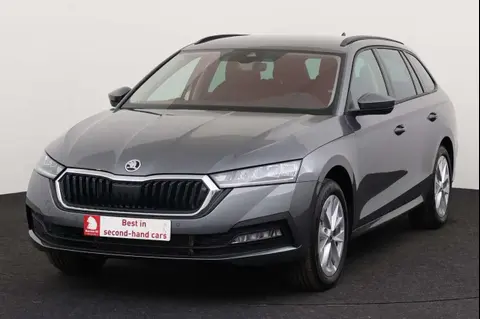 Annonce SKODA OCTAVIA Essence 2024 d'occasion 