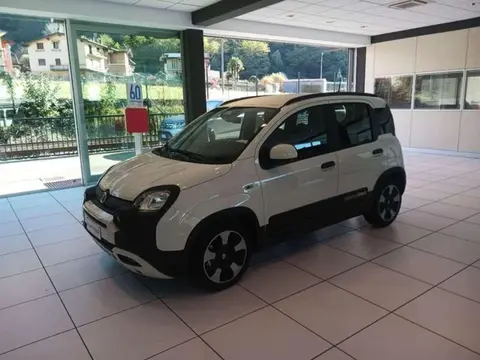 Annonce FIAT PANDA Hybride 2024 d'occasion 