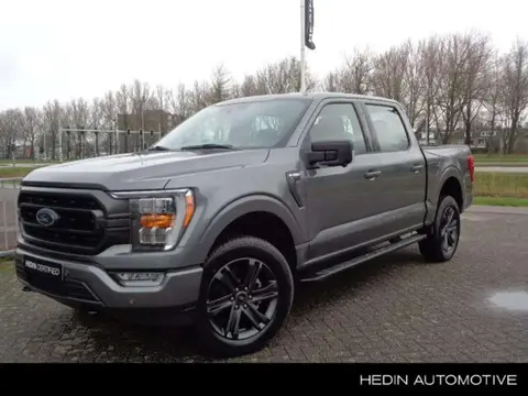 Used FORD F150 Petrol 2024 Ad 