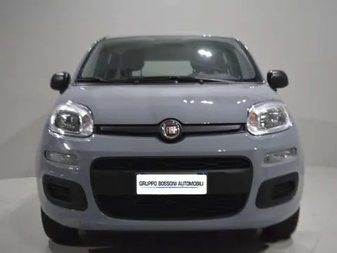 Annonce FIAT PANDA Essence 2021 d'occasion 