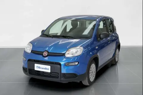 Used FIAT PANDA Hybrid 2024 Ad 