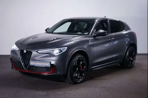 Used ALFA ROMEO STELVIO Petrol 2020 Ad 