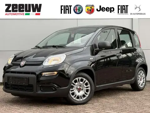 Annonce FIAT PANDA Essence 2023 d'occasion 