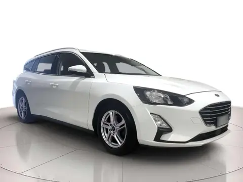 Used FORD FOCUS Diesel 2020 Ad 