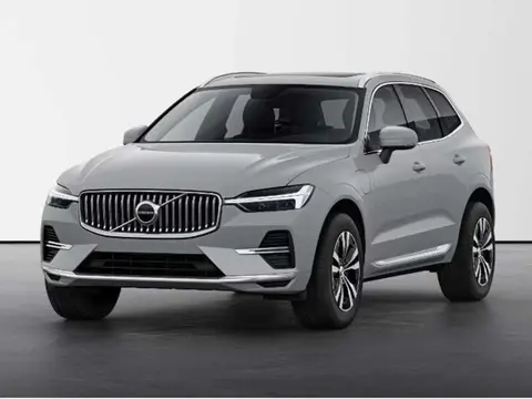 Annonce VOLVO XC60 Hybride 2024 d'occasion 