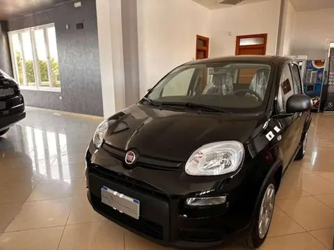 Annonce FIAT PANDA Hybride 2024 d'occasion 