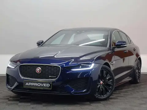 Used JAGUAR XE Diesel 2020 Ad 