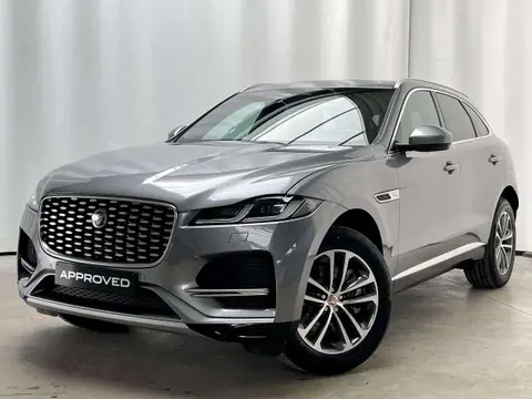 Annonce JAGUAR F-PACE Hybride 2022 d'occasion 