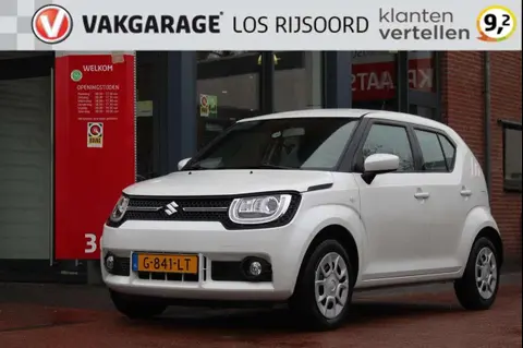 Used SUZUKI IGNIS Petrol 2019 Ad 