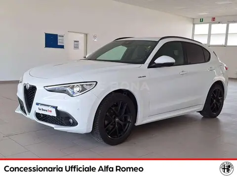 Used ALFA ROMEO STELVIO Diesel 2021 Ad 