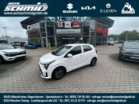 Used KIA PICANTO Petrol 2024 Ad 