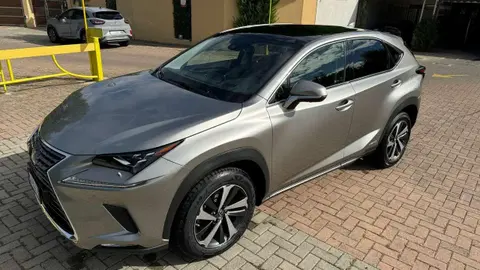 Annonce LEXUS NX Hybride 2020 d'occasion 