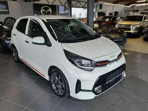 Used KIA PICANTO Petrol 2023 Ad 