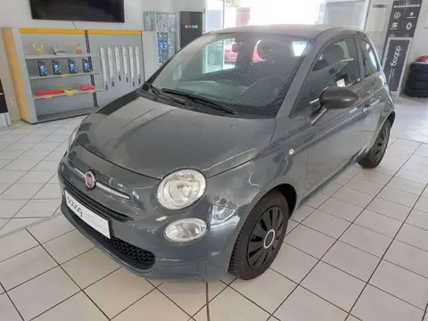 Used FIAT 500 Petrol 2021 Ad 