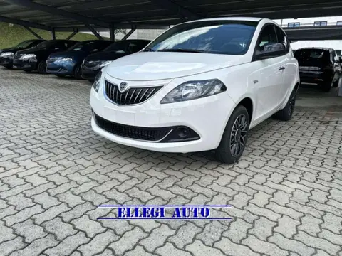 Used LANCIA YPSILON Hybrid 2024 Ad 