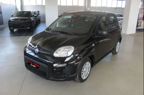 Annonce FIAT PANDA Hybride 2024 d'occasion 