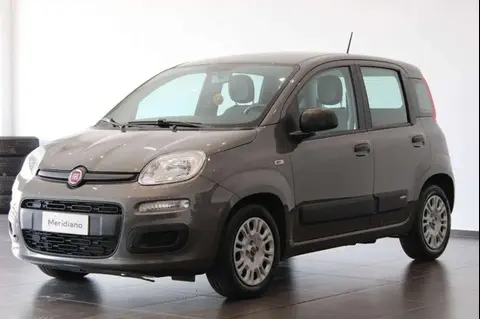 Annonce FIAT PANDA Essence 2021 d'occasion 