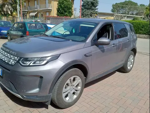 Used LAND ROVER DISCOVERY Hybrid 2020 Ad 