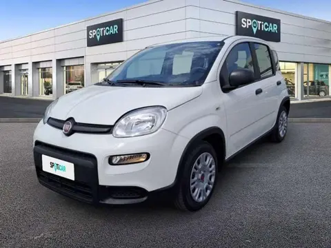 Used FIAT PANDA Petrol 2023 Ad 