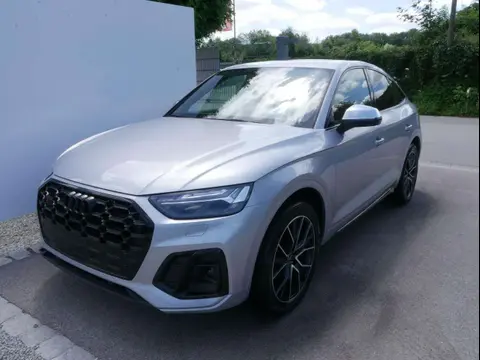 Annonce AUDI SQ5 Diesel 2024 d'occasion 