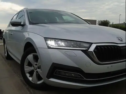 Used SKODA OCTAVIA Diesel 2020 Ad 