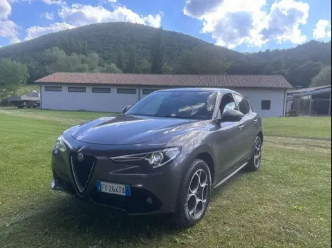 Used ALFA ROMEO STELVIO Diesel 2019 Ad 