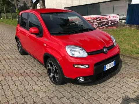 Annonce FIAT PANDA Hybride 2021 d'occasion 