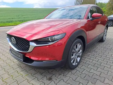 Used MAZDA CX-30 Petrol 2024 Ad 