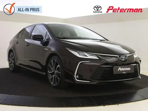 Used TOYOTA COROLLA Hybrid 2019 Ad 