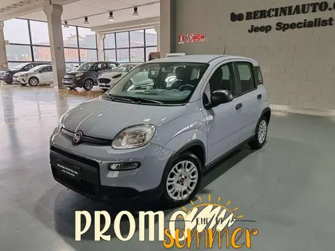 Used FIAT PANDA Hybrid 2023 Ad 