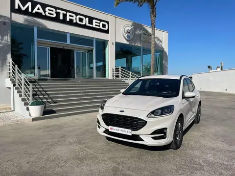 Annonce FORD KUGA Diesel 2021 d'occasion 