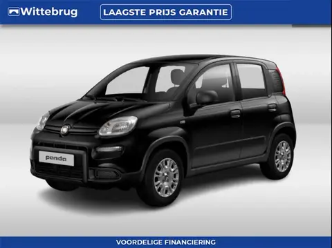 Used FIAT PANDA Hybrid 2024 Ad 