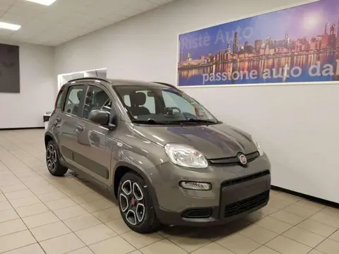 Used FIAT PANDA Hybrid 2021 Ad 