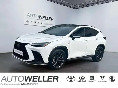 Used LEXUS NX Hybrid 2024 Ad 