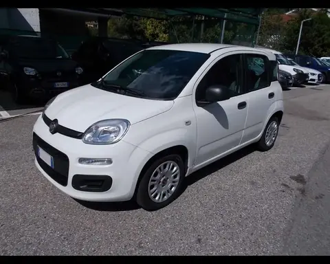 Used FIAT PANDA Hybrid 2022 Ad 