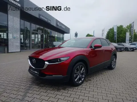 Annonce MAZDA CX-30 Essence 2024 d'occasion Allemagne