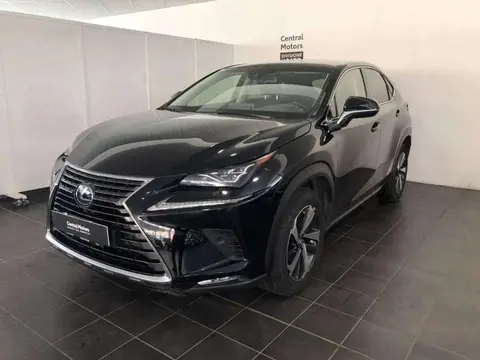 Used LEXUS NX Hybrid 2020 Ad 