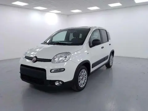 Annonce FIAT PANDA Hybride 2023 d'occasion 