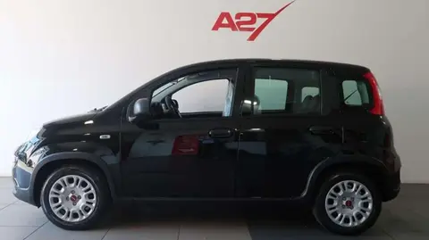 Used FIAT PANDA Hybrid 2024 Ad 