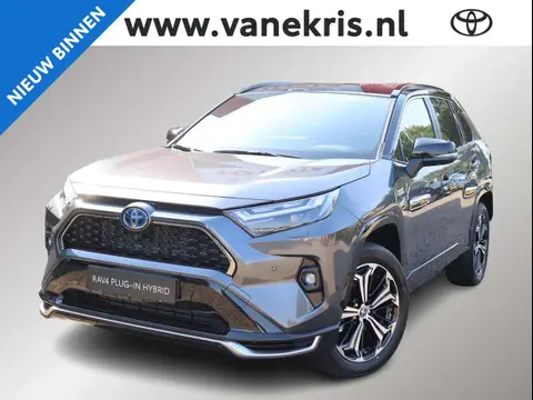 Used TOYOTA RAV4 Hybrid 2024 Ad 