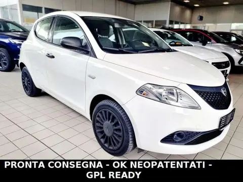 Used LANCIA YPSILON Petrol 2018 Ad 