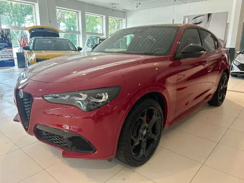 Annonce ALFA ROMEO STELVIO Diesel 2024 d'occasion 