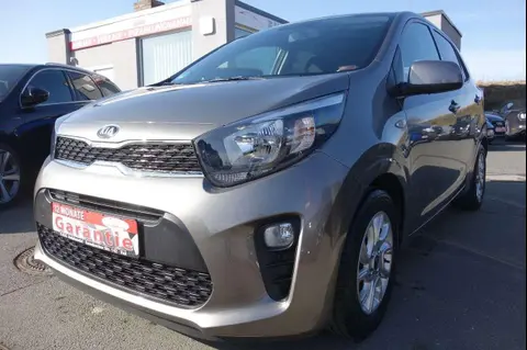 Used KIA PICANTO Petrol 2019 Ad 