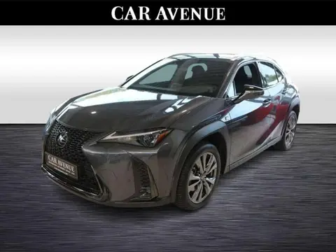 Annonce LEXUS UX Hybride 2023 d'occasion 