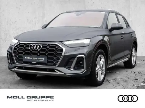 Used AUDI Q5 Hybrid 2021 Ad 