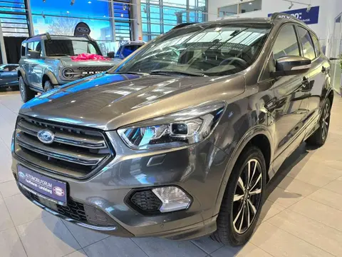 Used FORD KUGA Petrol 2019 Ad 